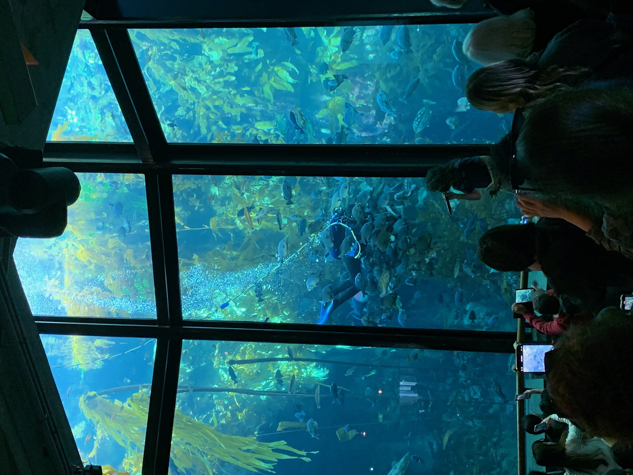 aquarium